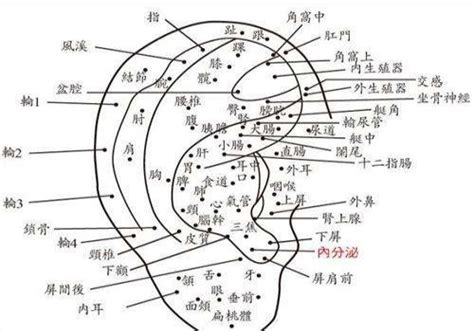 耳朵上有痣 女|女人右耳朵有痣图解 耳朵痣十大福痣图片